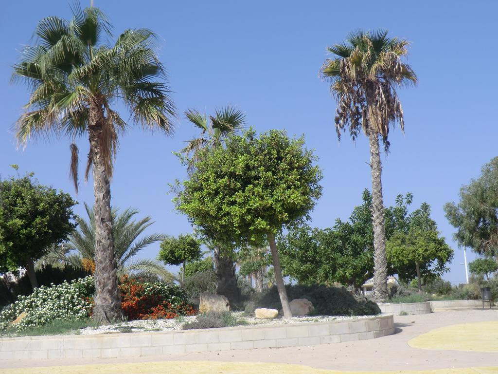 Casa En La Costa Βίλα Τορεβιέχα Εξωτερικό φωτογραφία