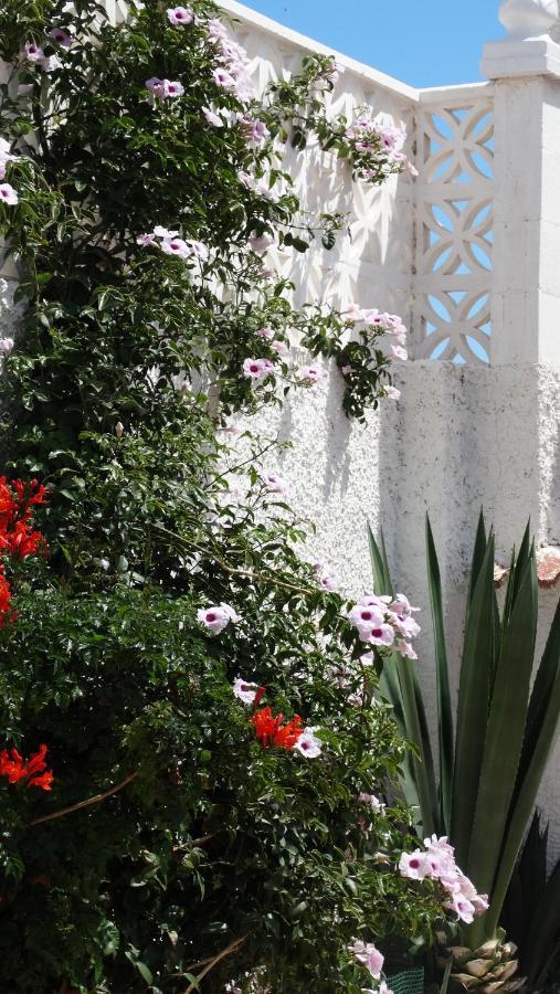 Casa En La Costa Βίλα Τορεβιέχα Δωμάτιο φωτογραφία
