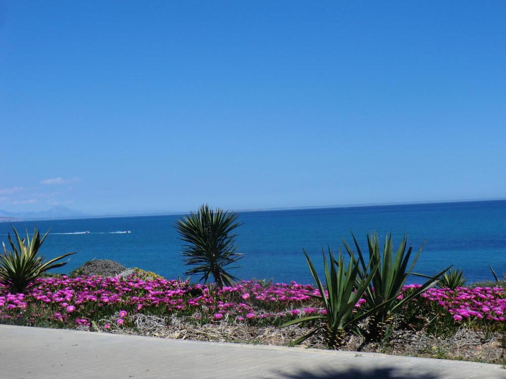 Casa En La Costa Βίλα Τορεβιέχα Δωμάτιο φωτογραφία